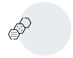 Pigment Cell Clusters